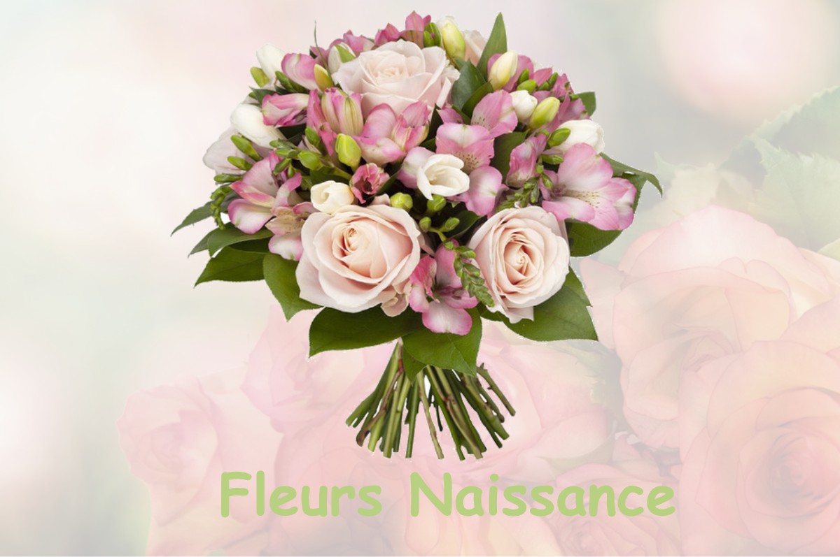 fleurs naissance LA-HOUSSOYE